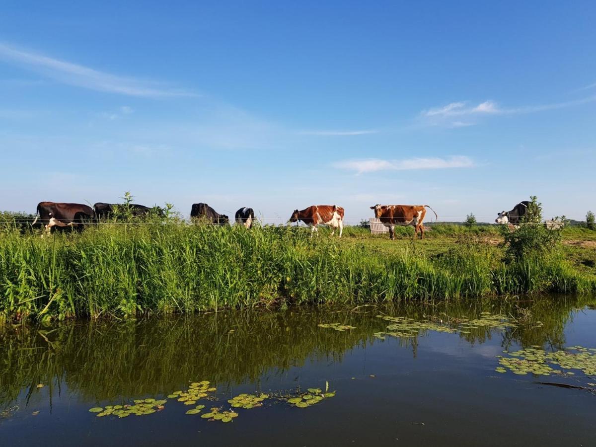 B & B De Tocht Berkhout Luaran gambar